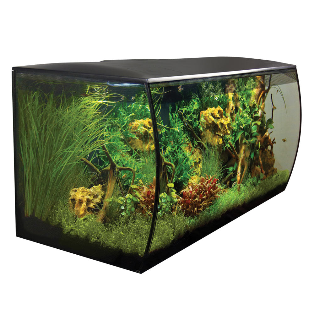 Fluval Flex 123L Aquarium Black with Aquasky LED Lighting – Real Reptiles